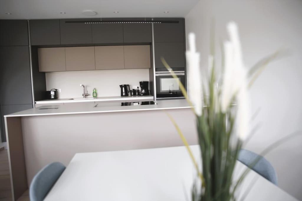 Beautiful Stylish 2Br Apartment In Kirchberg Luxemburgo Exterior foto